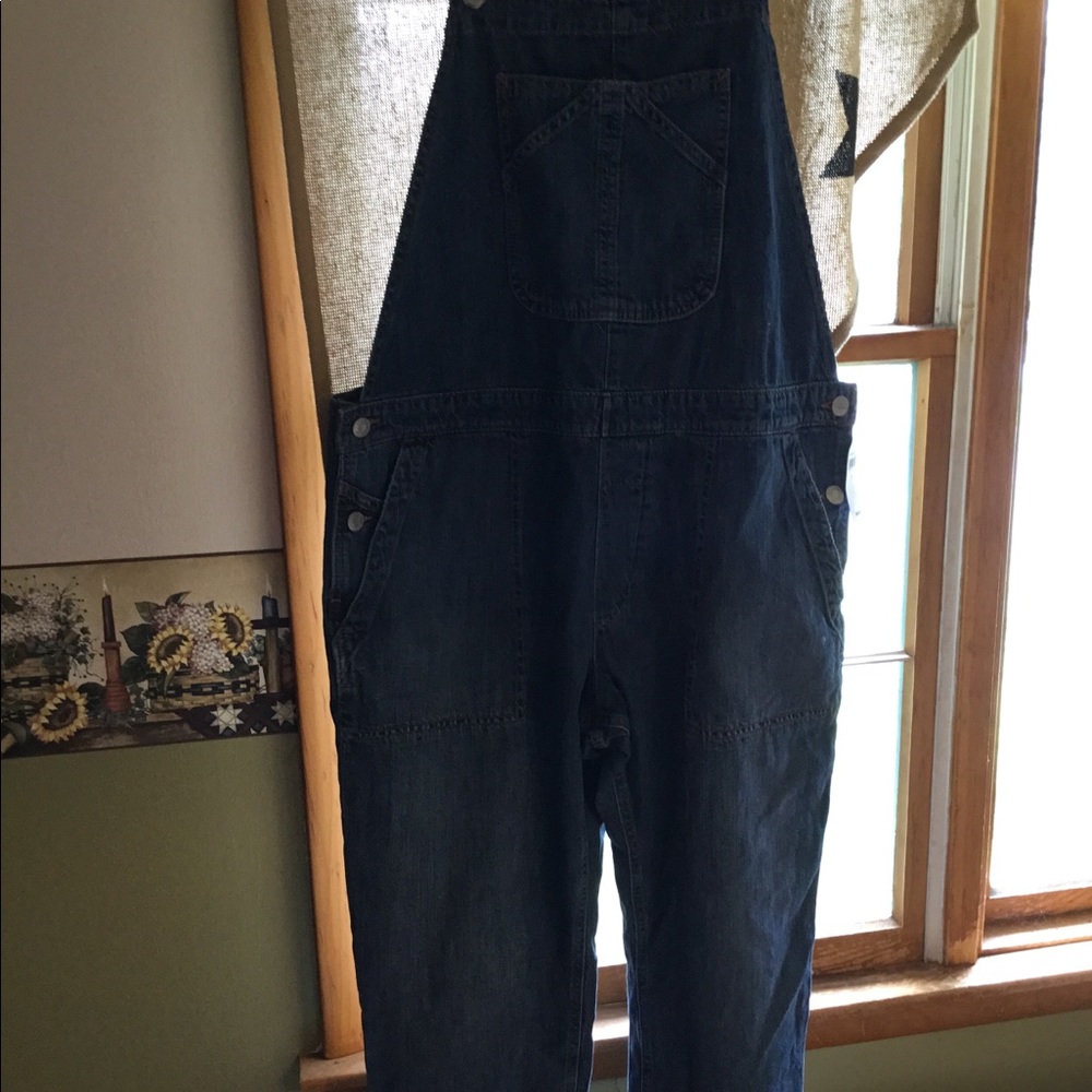 NWT gap bibs